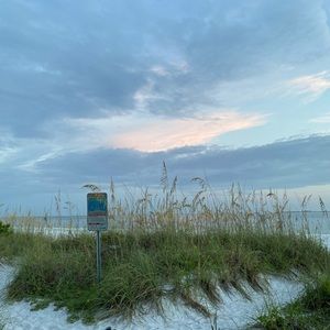 Meet your Posher, Jordie